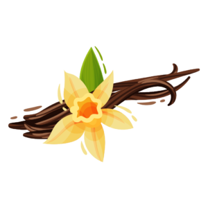 Vanille